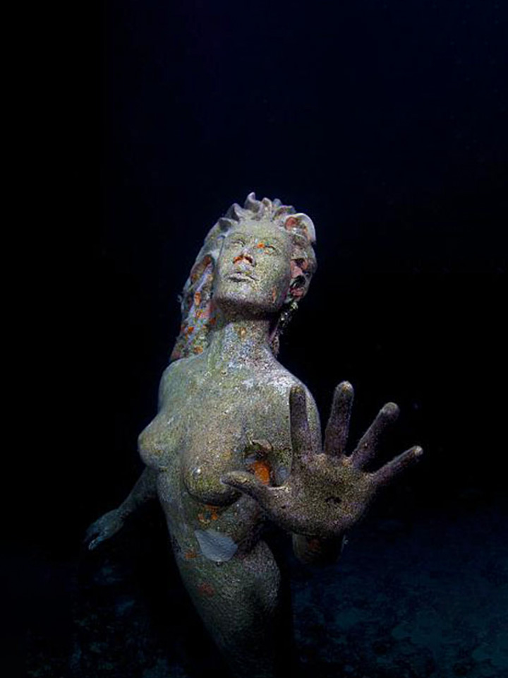 Amphitrite